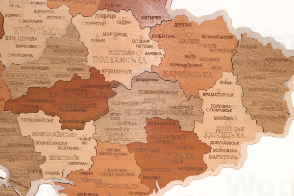 Деревʼяна мапа України 49х70
